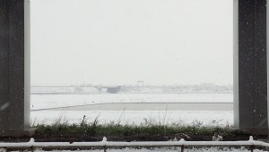 雪が降りました