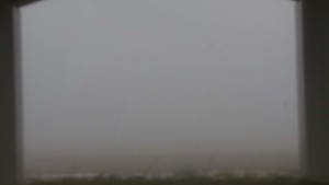 朝は靄がかかりました