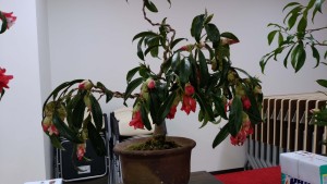 自分の作品ということになっています