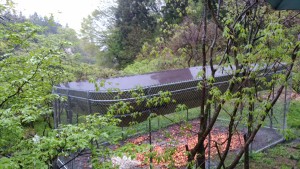 サルを一網打尽可能な大形捕獲檻