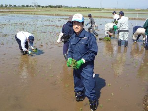 田んぼアートでの雄姿