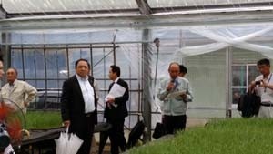 玉ねぎ苗ハウス