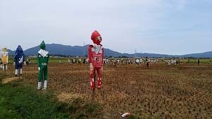 見事に刈り終りました