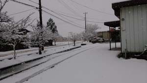 13日朝の雪この後夜までに30センチに