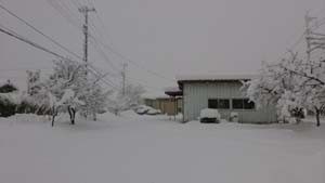 今朝の雪、昨夜からの積雪60センチに