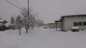 朝の事務所敷地